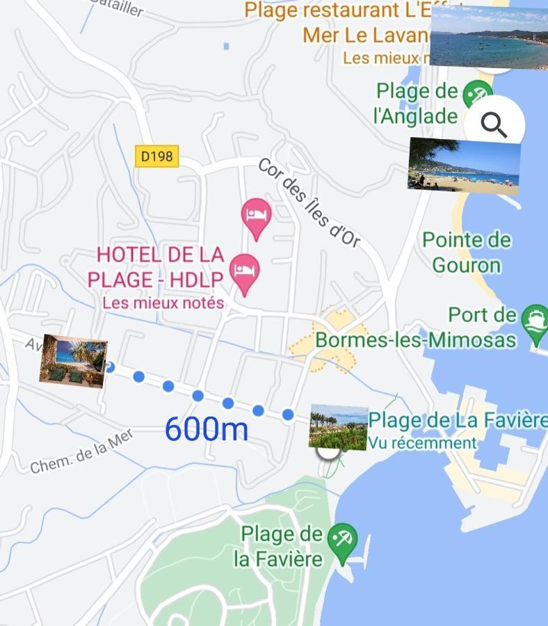 Le Studio Tahiti 4 Pers 600M De La Plage La Faviere Борм-ле-Мимоза Екстериор снимка